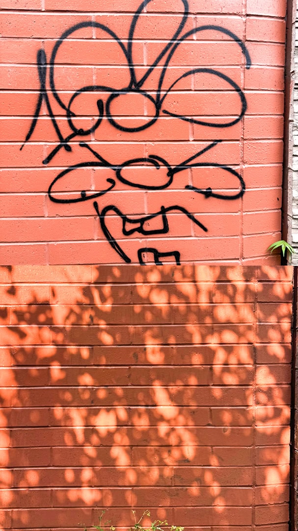 Black graffiti with a rounded, looping design is spray-painted on a red brick wall, with sunlight casting leafy shadows across the lower half of the bricks.