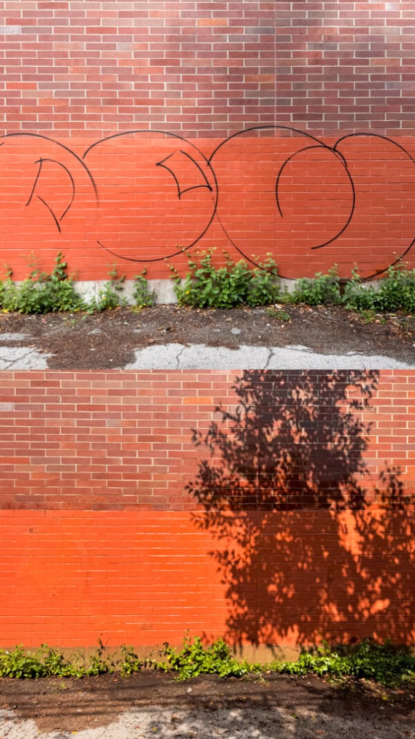 Two sections of a brick wall: the top has graffiti with black circles and some plants at the base, the bottom has a tree’s shadow cast across it and greenery along the ground.