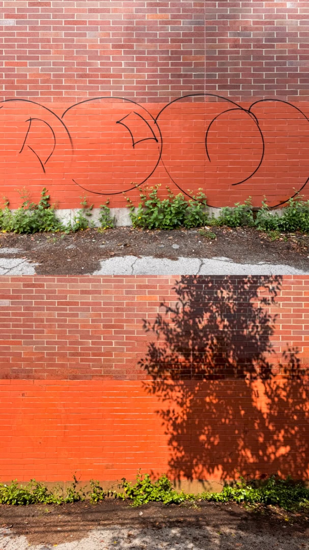 Two sections of a brick wall: the top has graffiti with black circles and some plants at the base, the bottom has a tree’s shadow cast across it and greenery along the ground.