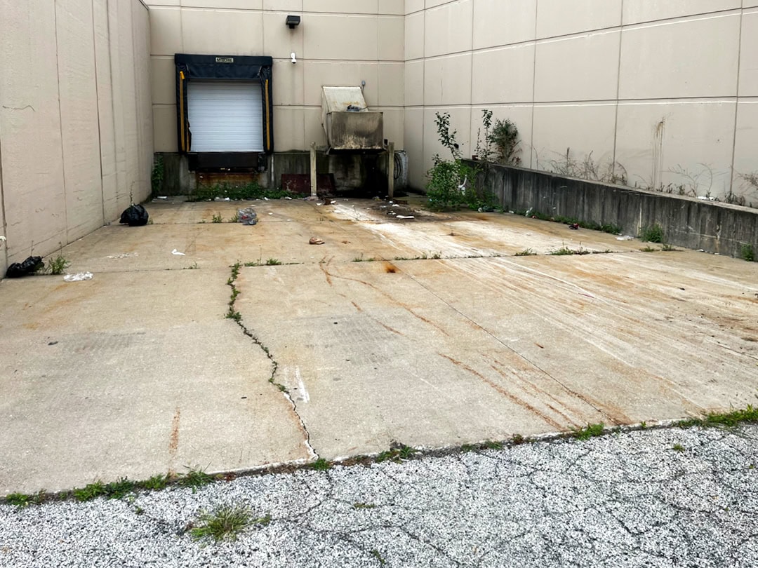 A loading dock with a closed white overhead door, a large dumpster, overgrown weeds, cracks in the concrete, and scattered trash in an empty, unused outdoor area behind a building.