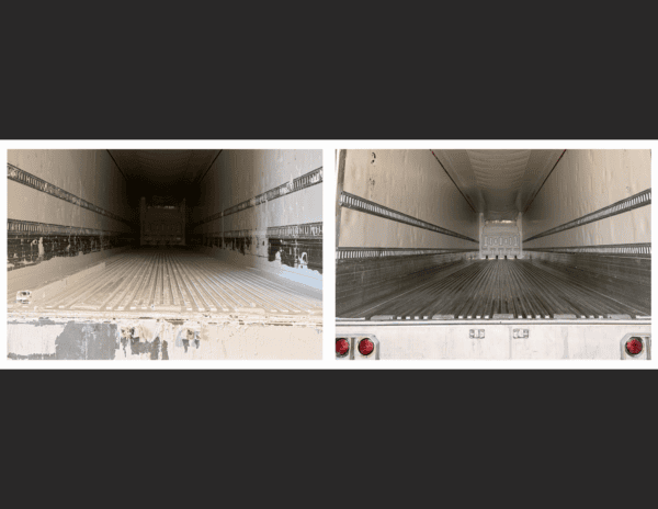 untitled design